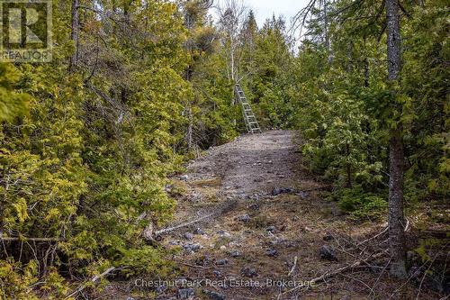 Lt 18 Corey Crescent, Northern Bruce Peninsula, ON 