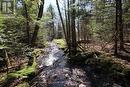 Brimson Creek running through property - 0 534 Hwy Highway, Parry Sound Remote Area (Restoule), ON 