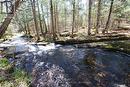 Brimson Creek - 0 534 Hwy Highway, Parry Sound Remote Area (Restoule), ON 
