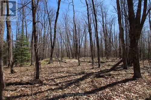 mostly maple trees - 0 534 Hwy Highway, Parry Sound Remote Area (Restoule), ON 