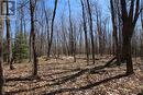 mostly maple trees - 0 534 Hwy Highway, Parry Sound Remote Area (Restoule), ON 