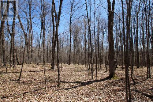 0 534 Hwy Highway, Parry Sound Remote Area (Restoule), ON 