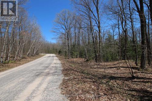 Daniel Dr to Hwy 534 - 0 534 Hwy Highway, Parry Sound Remote Area (Restoule), ON 