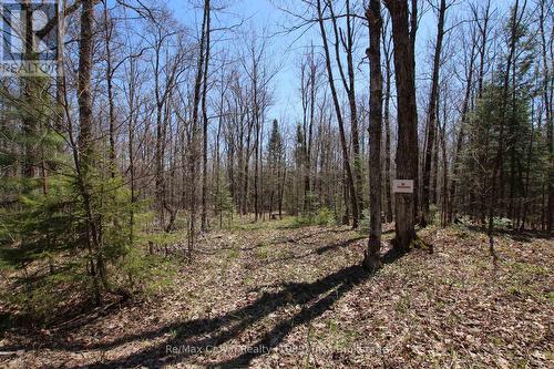 Trail from Hwy 534 - 0 534 Hwy Highway, Parry Sound Remote Area (Restoule), ON 