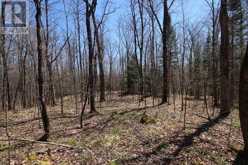 0 534 Hwy Highway, Parry Sound Remote Area (Restoule), ON 