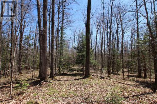 0 534 Hwy Highway, Parry Sound Remote Area (Restoule), ON 