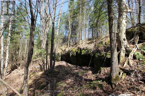 0 534 Hwy Highway, Parry Sound Remote Area (Restoule), ON 