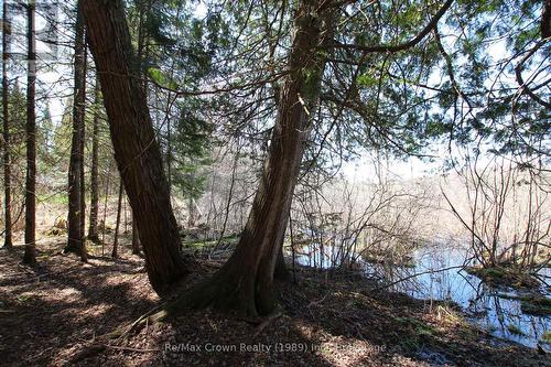 Frontage on swamp off Ridley Dr - 0 534 Hwy Highway, Parry Sound Remote Area (Restoule), ON 