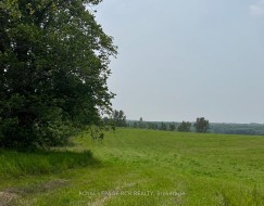 6671 County Road 9 N/A  Clearview, ON L0M 1N0