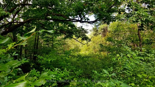 Lot 31 9 County Road, Melancthon, ON 