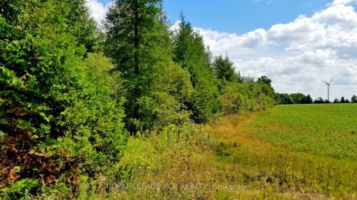 Lot 31 9 County Road, Melancthon, ON 