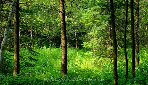 Lot 31 9 County Road, Melancthon, ON 