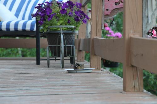 Patio - 2C Lac Dasserat, Rouyn-Noranda, QC - Outdoor With Exterior