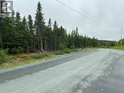 45 Robin's Pond Hill Road  Torbay, NL A1K 1J7