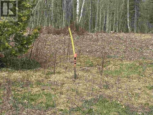 4202 5Th Side Rd, Jocelyn Township, ON 