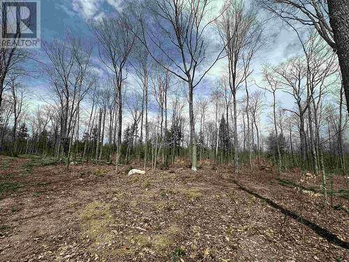 4202 5Th Side Rd, Jocelyn Township, ON 