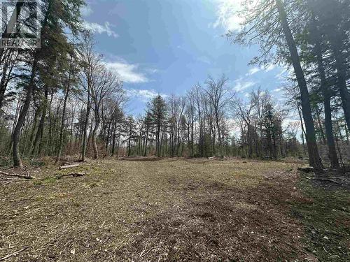 4202 5Th Side Rd, Jocelyn Township, ON 