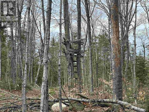 4202 5Th Side Rd, Jocelyn Township, ON 