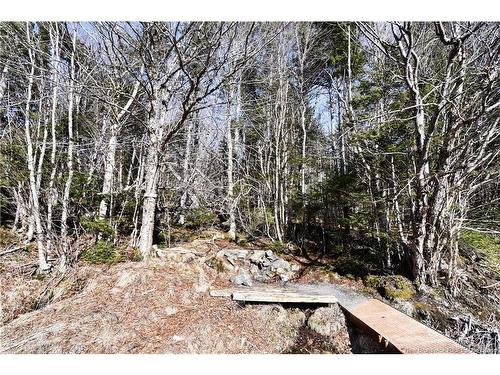 85-101 To 85-104 Bunker Hill, Wilsons Beach, NB 