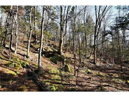 85-101 To 85-104 Bunker Hill, Wilsons Beach, NB 