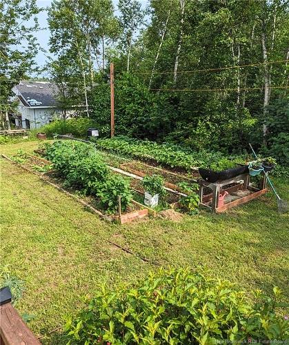 1150 Route 370, Leech, NB 