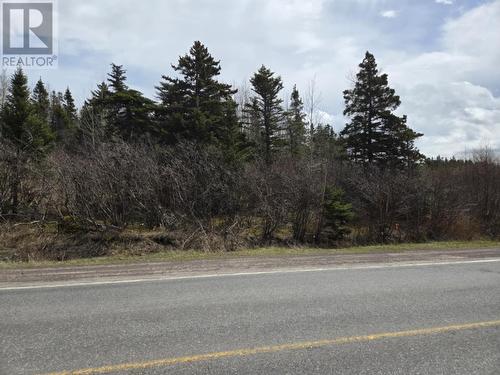 70 Road To The Isles, Lewisporte, NL 