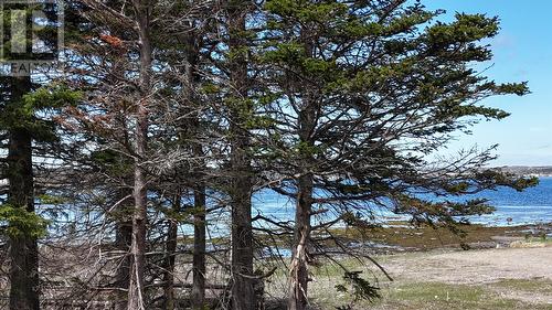 70 Road To The Isles, Lewisporte, NL 