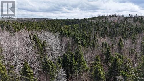 70 Road To The Isles, Lewisporte, NL 