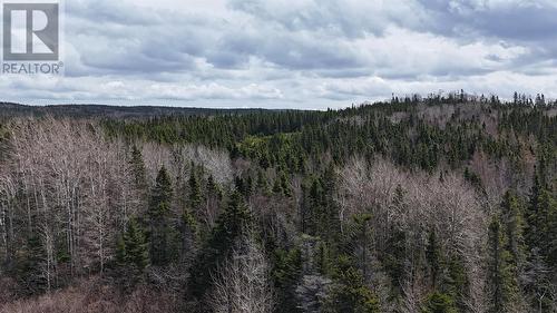 70 Road To The Isles, Lewisporte, NL 