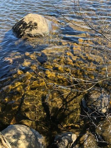 Bord de l'eau - 8131 Lac-Des-Écorces, Barkmere, QC 