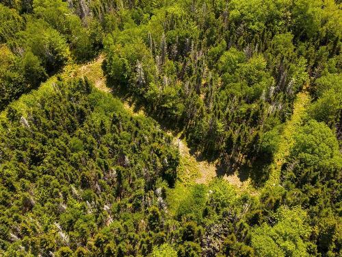 4 Lake Charlotte, Lake Charlotte, NS 