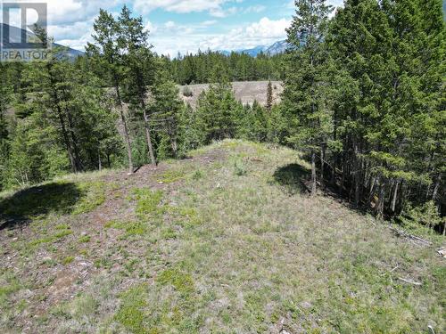 Lot 18 Saddlewood Lane, Radium Hot Springs, BC 