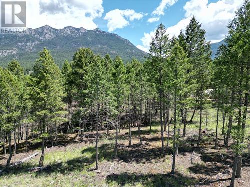 Lot 18 Saddlewood Lane, Radium Hot Springs, BC 