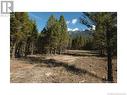 Lot 18 Saddlewood Lane, Radium Hot Springs, BC 