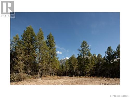 Lot 18 Saddlewood Lane, Radium Hot Springs, BC 