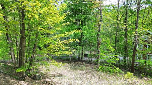 Extérieur - 23 Ch. Du Rivage, Austin, QC - Outdoor