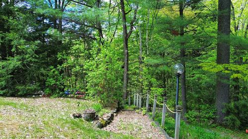 Extérieur - 23 Ch. Du Rivage, Austin, QC - Outdoor