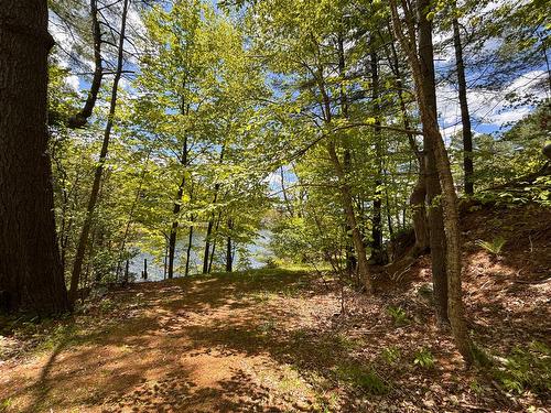 Bord de l'eau - 23 Ch. Du Rivage, Austin, QC - Outdoor With View