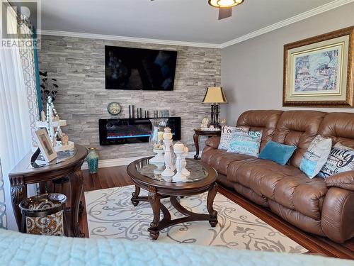 673 Oceanview Drive, Cape St. George, NL - Indoor Photo Showing Living Room With Fireplace