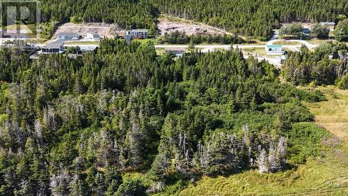673 Oceanview Drive, Cape St. George, NL - Outdoor With View