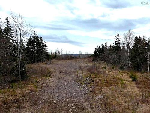 Louisbourg Highway, Catalone, NS 