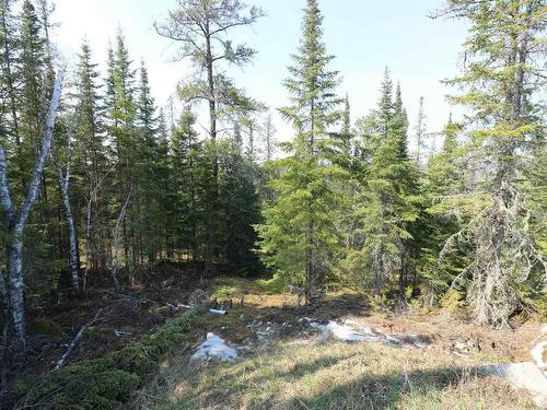 Lot 2 Lougheed Drive, Kenora, ON 