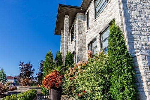 Garden - 7730 Rue De Liverpool, Brossard, QC - Outdoor