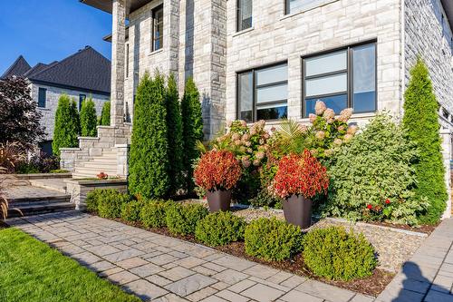 Garden - 7730 Rue De Liverpool, Brossard, QC - Outdoor