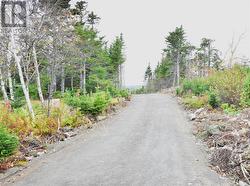 Lot 3 Second Pond Road  Shearstown / Butlerville, NL A0A 1G0