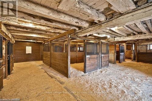 4197 Walkers Line, Burlington, ON 