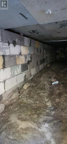 239 Mobile First Pond Road, Mobile, NL - Outdoor