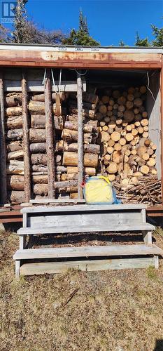 239 Mobile First Pond Road, Mobile, NL - Outdoor With View