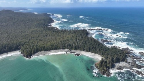 7 Cape Sutil Holberg (Off) Hwy, Port Hardy, BC 