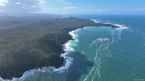 7 Cape Sutil Holberg (Off) Hwy, Port Hardy, BC 